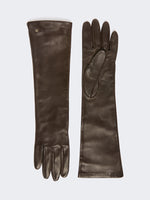 Long Nappa-Leather Gloves for Women - Dark Brown - Max Mara KSA