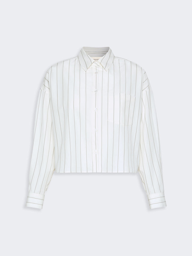 Cotton Shirt With A Contrasting Back for Women - Brown - Max Mara KSA